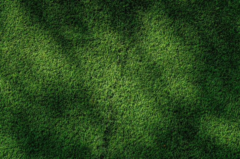 Comment réussir l'engazonnement de votre jardin à Mamirolle ?